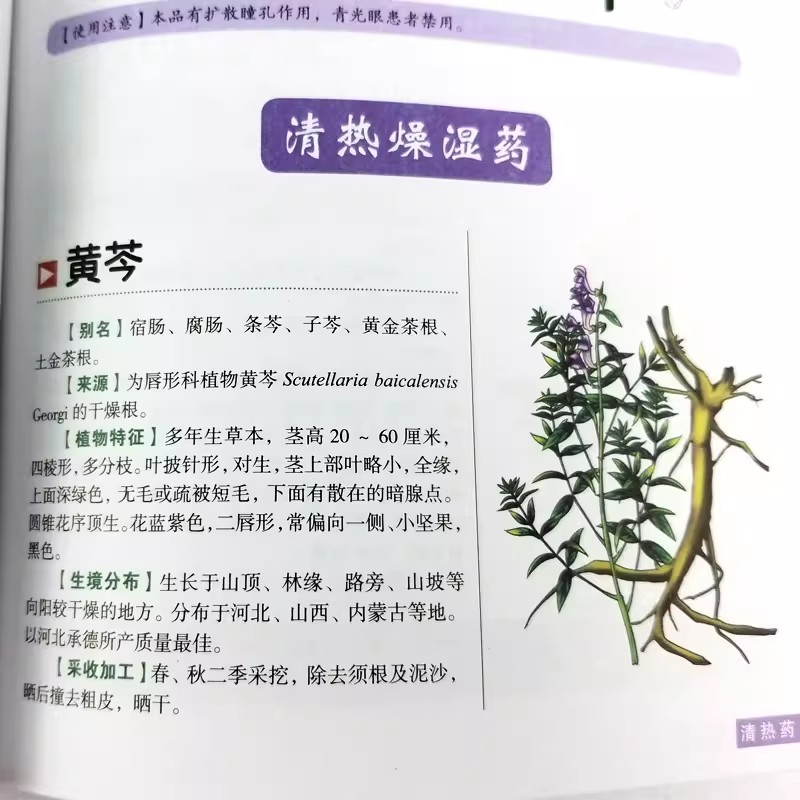 The Ancient Herbarium Holistic - đánh giá và giá Herbal Wellness Guide